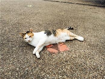 日本游戏大奖未来部门奖公布：《怪物猎人：荒野》等