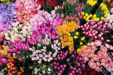 《原子之心》双生舞伶演员是俄芭蕾舞蹈家 美艳动人